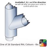 111x138mm Guardian Aluminium Branch - 112 Degree - One of 26 Standard Matt RAL colours TBC