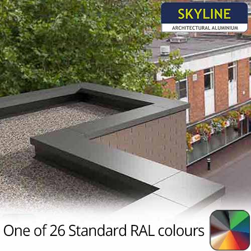 One of 26 Standarts RAL colours